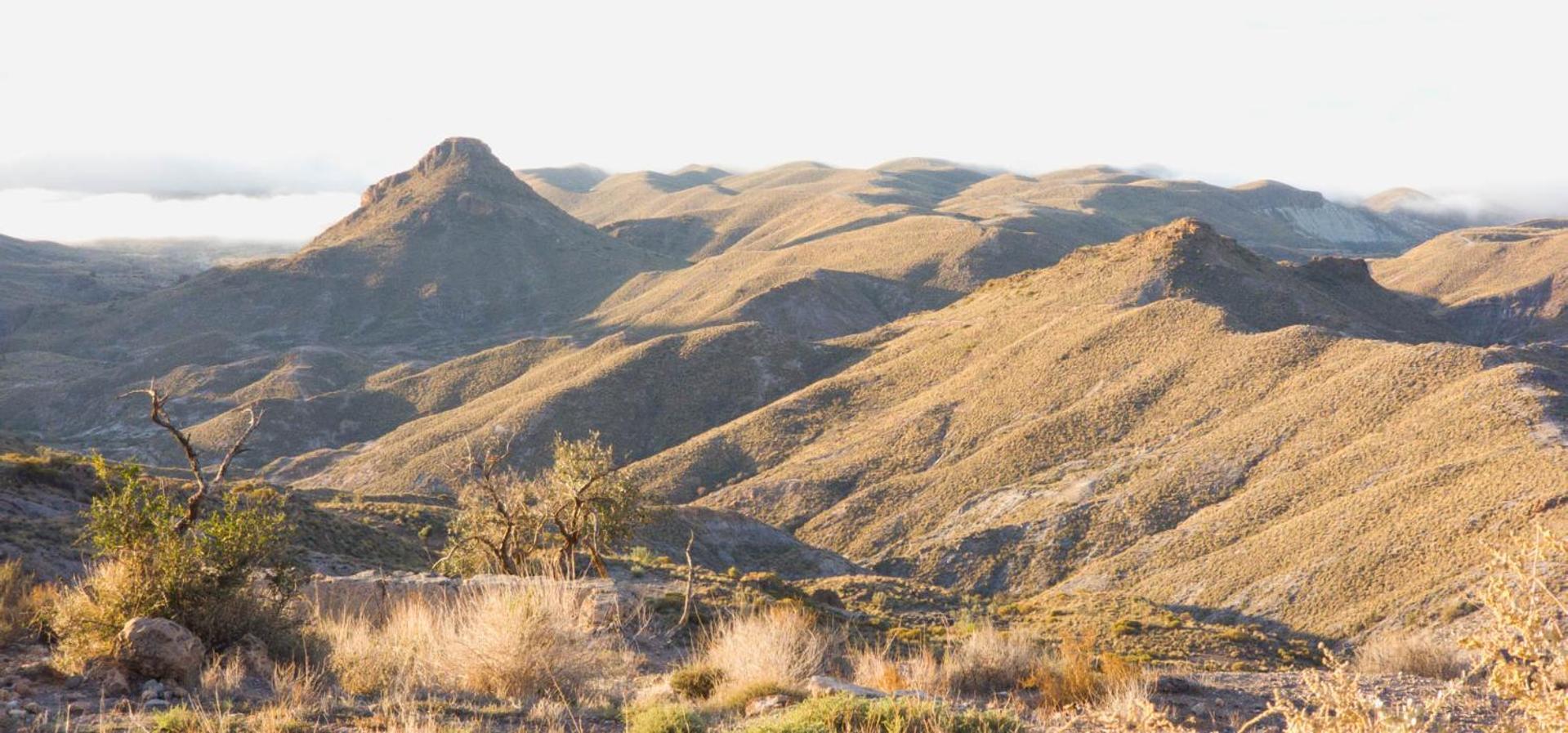 Cortijo El Albaricoque De La Sierra - Finca De 75 Hectareas ! Níjar 외부 사진