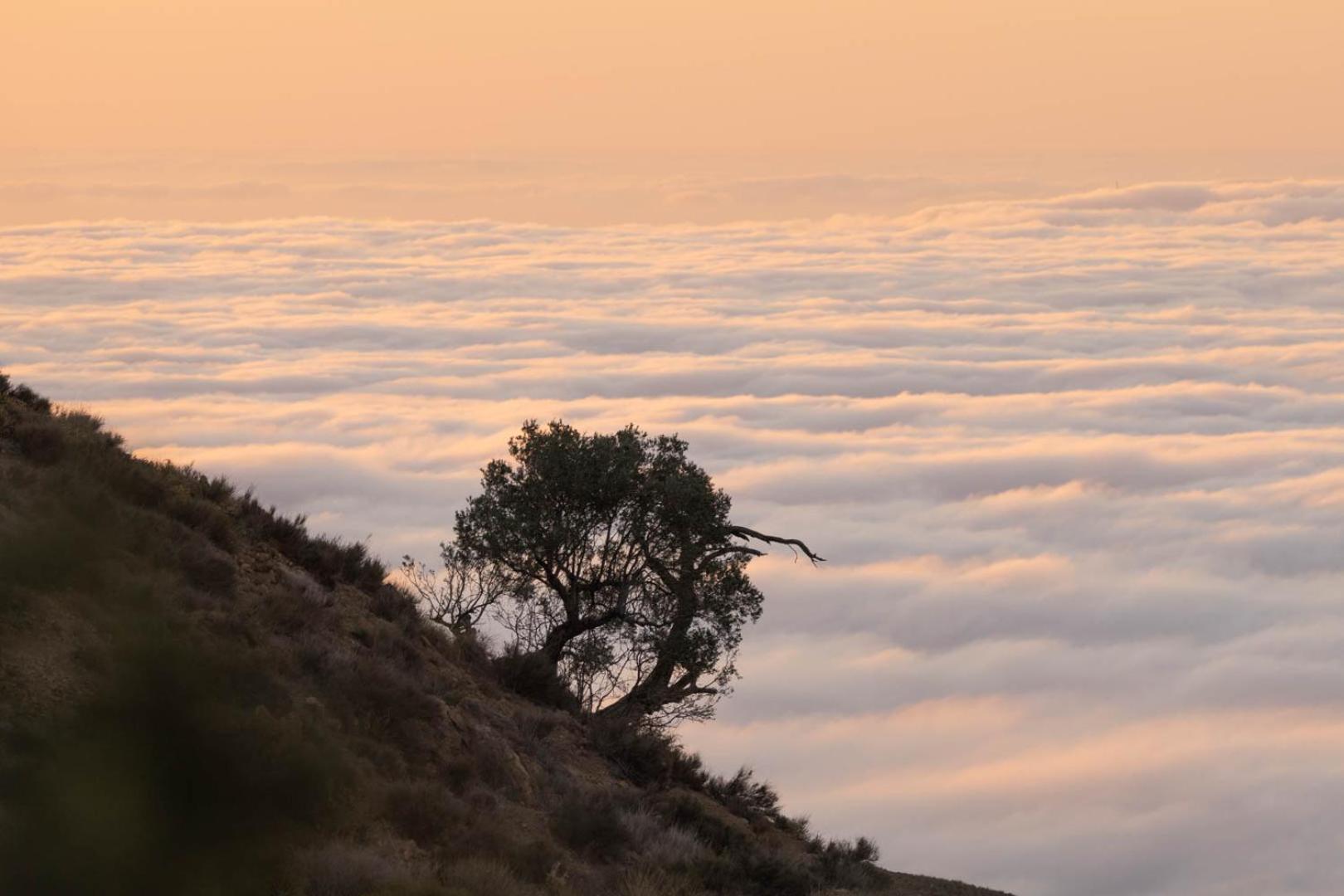 Cortijo El Albaricoque De La Sierra - Finca De 75 Hectareas ! Níjar 외부 사진